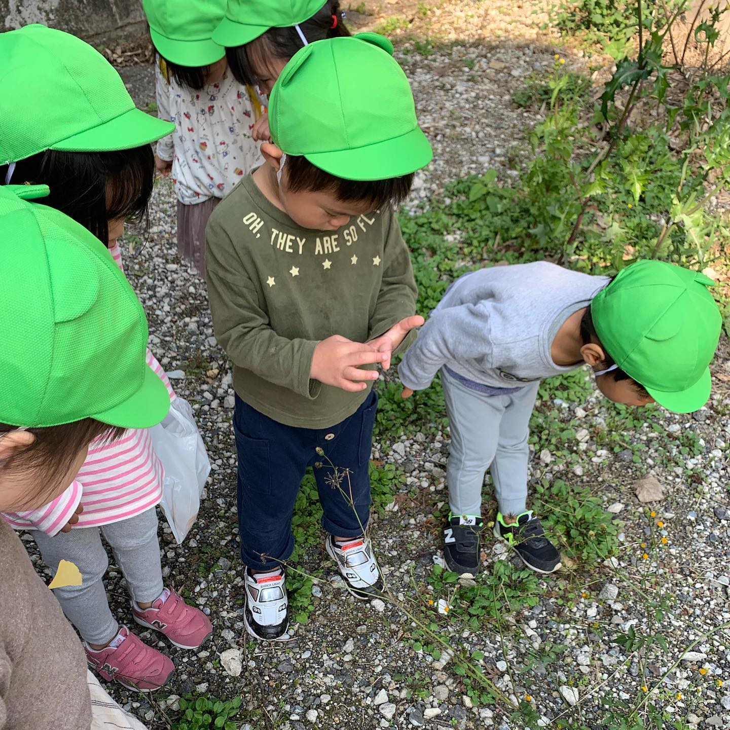 今日は暖かくいい天気️お散歩に行きました＾＾探検していると、くっつき虫が子どもたちの服にはじめて見るトゲトゲにびっくりする子どもたちでした️また、銀杏の葉拾いを楽しみました#みどり栗林公園保育園 (Instagram)